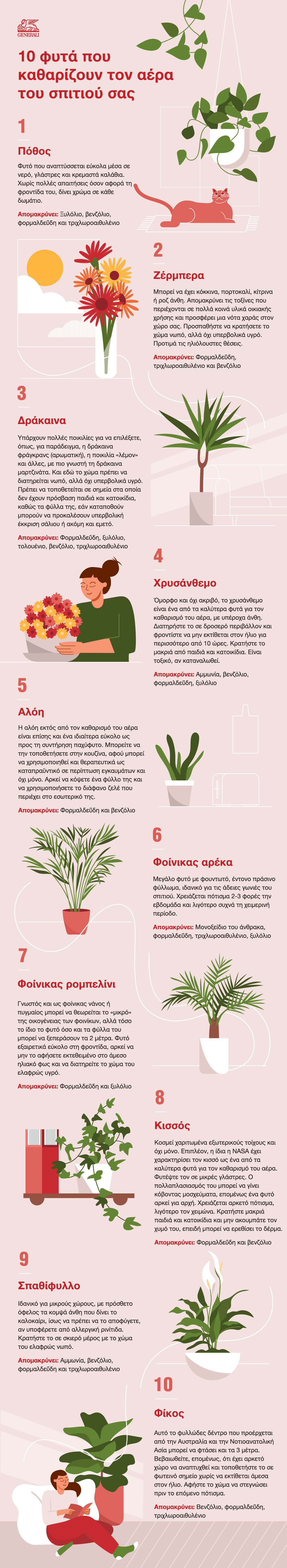 generali-air-purifying-plants-greece (1).gif